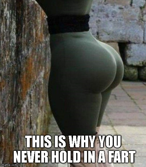 SHE'S GONNA BLOW!!! | THIS IS WHY YOU NEVER HOLD IN A FART | image tagged in fart,big butt,hold it in,fat | made w/ Imgflip meme maker