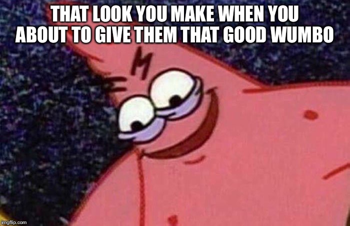 Evil Patrick  | THAT LOOK YOU MAKE WHEN YOU ABOUT TO GIVE THEM THAT GOOD WUMBO | image tagged in evil patrick | made w/ Imgflip meme maker