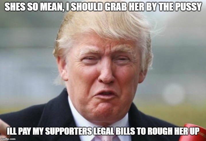 Trump Crybaby | SHES SO MEAN, I SHOULD GRAB HER BY THE PUSSY ILL PAY MY SUPPORTERS LEGAL BILLS TO ROUGH HER UP | image tagged in trump crybaby | made w/ Imgflip meme maker