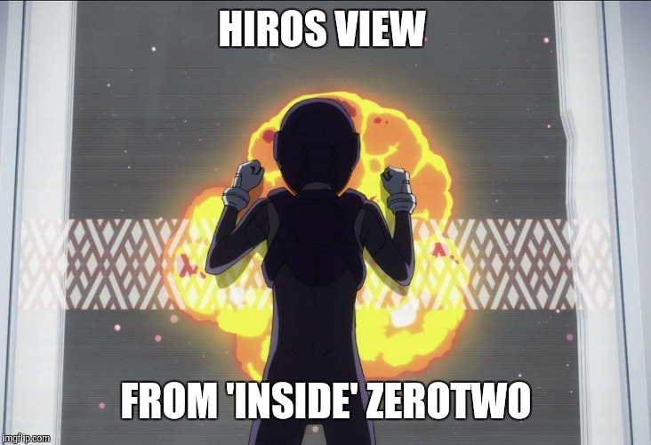 Darling in the Franxx | HIROS VIEW; FROM 'INSIDE' ZEROTWO | image tagged in darling in the franxx | made w/ Imgflip meme maker