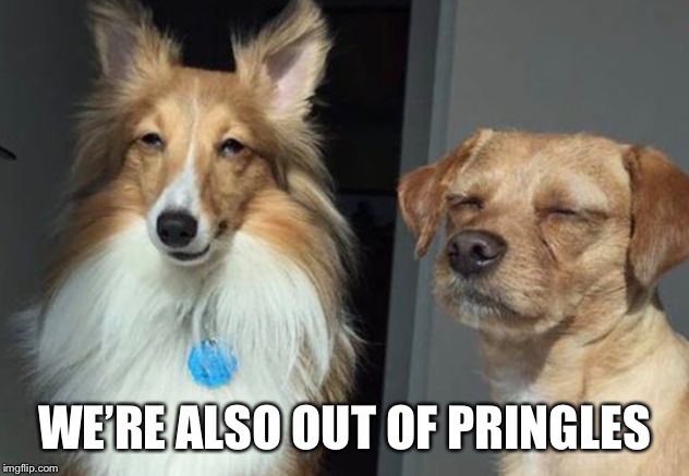 WE’RE ALSO OUT OF PRINGLES | image tagged in high dogs,memes,bad luck raydog | made w/ Imgflip meme maker