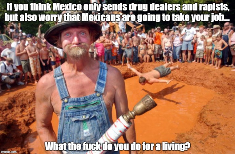 "If You Think Mexico Only Sends Drug Dealers And Rapistts, But Also Worry That Mexicans Are Going To Take Your Job..." | If you think Mexico only sends drug dealers and rapists, but also worry that Mexicans are going to take your job... What the f**k do you do  | image tagged in mexican border,illegal immigration,rapists,drug dealers,mexico isn't sending its best people | made w/ Imgflip meme maker