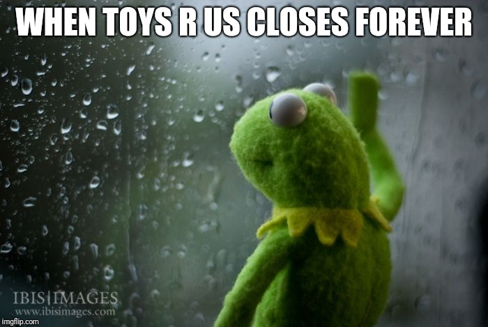 kermit window | WHEN TOYS R US CLOSES FOREVER | image tagged in kermit window,toys r us,kermit,memes | made w/ Imgflip meme maker