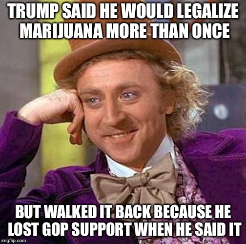 Creepy Condescending Wonka Meme | TRUMP SAID HE WOULD LEGALIZE MARIJUANA MORE THAN ONCE BUT WALKED IT BACK BECAUSE HE LOST GOP SUPPORT WHEN HE SAID IT | image tagged in memes,creepy condescending wonka | made w/ Imgflip meme maker