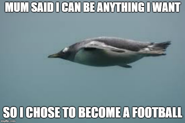 Football is my spirit animal | MUM SAID I CAN BE ANYTHING I WANT; SO I CHOSE TO BECOME A FOOTBALL | image tagged in penguin,memes,funny memes,football,mum | made w/ Imgflip meme maker
