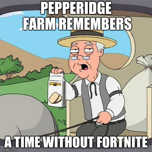 Pepperidge Farm Remembers Meme | PEPPERIDGE FARM REMEMBERS; A TIME WITHOUT FORTNITE | image tagged in memes,pepperidge farm remembers | made w/ Imgflip meme maker