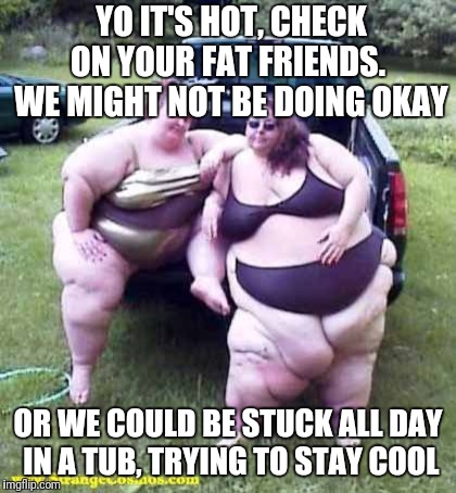 Fat girl's on a truck | YO IT'S HOT, CHECK ON YOUR FAT FRIENDS.  WE MIGHT NOT BE DOING OKAY; OR WE COULD BE STUCK ALL DAY IN A TUB, TRYING TO STAY COOL | image tagged in fat girl's on a truck | made w/ Imgflip meme maker
