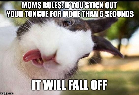 Bunny sticking out tongue  | MOMS RULES: IF YOU STICK OUT YOUR TONGUE FOR MORE THAN 5 SECONDS; IT WILL FALL OFF | image tagged in bunny sticking out tongue | made w/ Imgflip meme maker