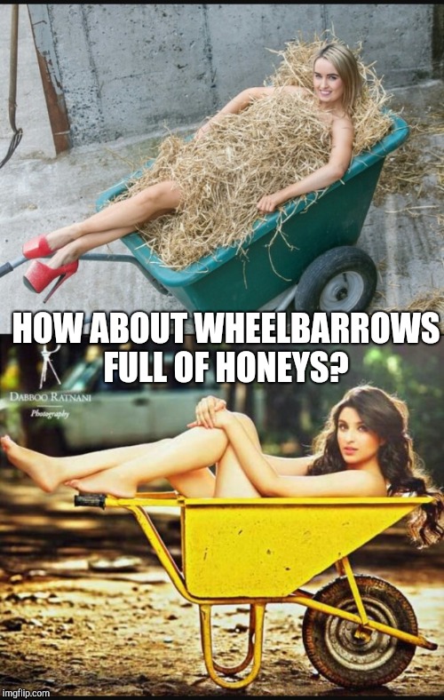 HOW ABOUT WHEELBARROWS FULL OF HONEYS? | made w/ Imgflip meme maker