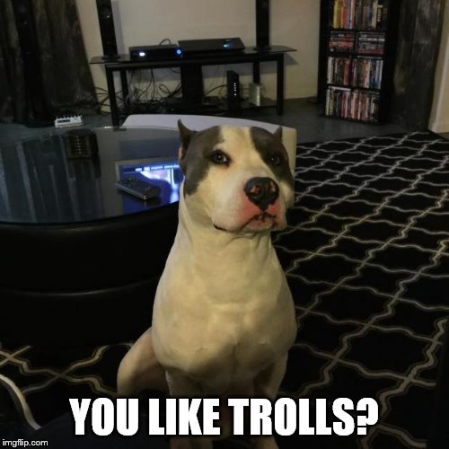 Incredulous Dog | YOU LIKE TROLLS? | image tagged in incredulous dog | made w/ Imgflip meme maker