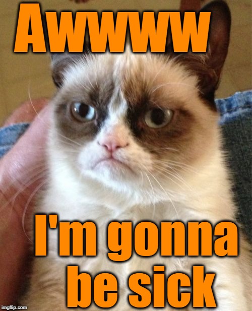 Grumpy Cat Meme | Awwww I'm gonna be sick | image tagged in memes,grumpy cat | made w/ Imgflip meme maker