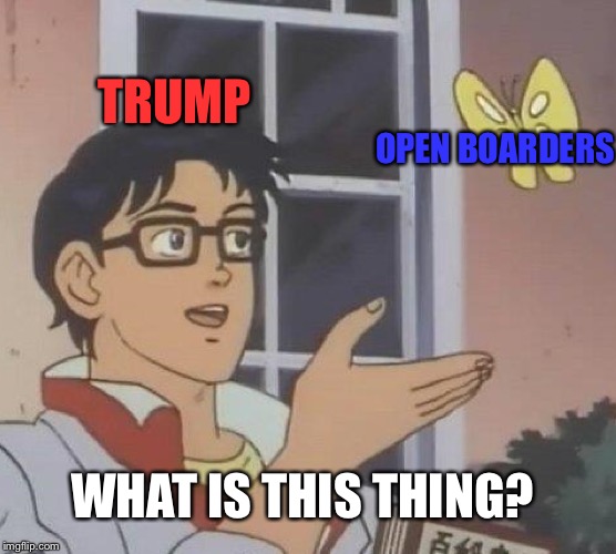 Say No to Open Borders | TRUMP; OPEN BOARDERS; WHAT IS THIS THING? | image tagged in memes,is this a pigeon,donald trump,open borders | made w/ Imgflip meme maker