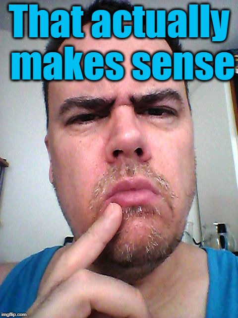 puzzled | That actually makes sense | image tagged in puzzled | made w/ Imgflip meme maker