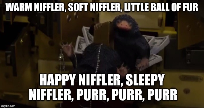 Niffler | WARM NIFFLER, SOFT NIFFLER, LITTLE BALL OF FUR; HAPPY NIFFLER, SLEEPY NIFFLER, PURR, PURR, PURR | image tagged in niffler | made w/ Imgflip meme maker