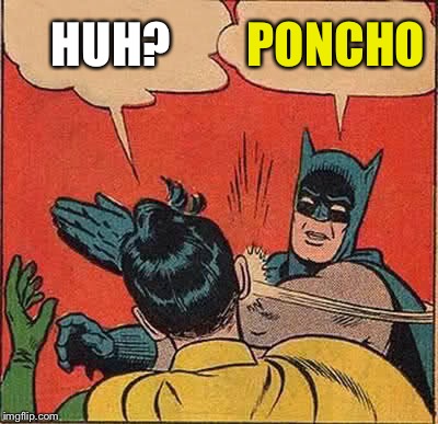 Batman Slapping Robin Meme | HUH? PONCHO | image tagged in memes,batman slapping robin | made w/ Imgflip meme maker