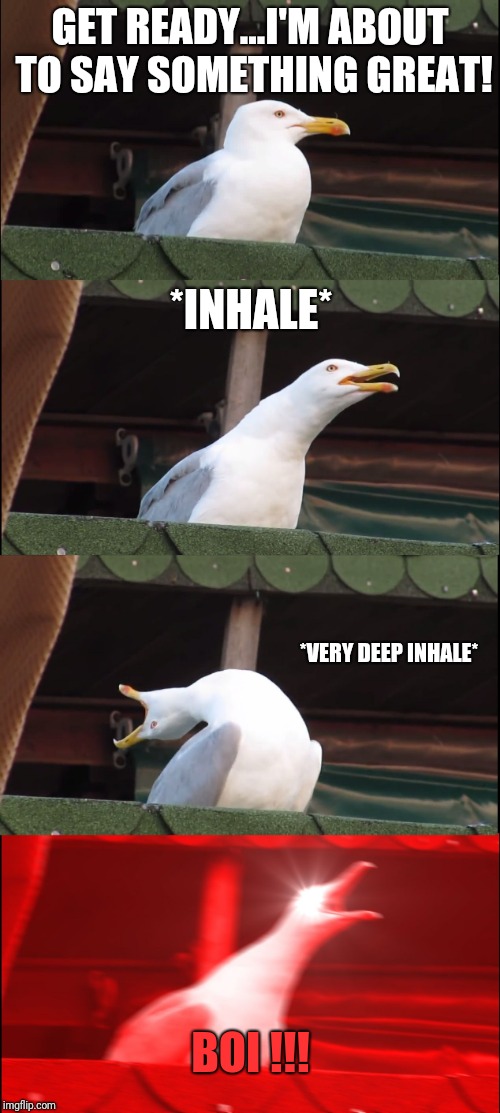 Inhaling Seagull Meme | GET READY...I'M ABOUT TO SAY SOMETHING GREAT! *INHALE*; *VERY DEEP INHALE*; BOI !!! | image tagged in memes,inhaling seagull | made w/ Imgflip meme maker