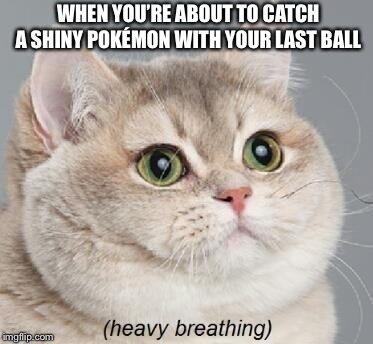 Heavy Breathing Cat Meme | WHEN YOU’RE ABOUT TO CATCH A SHINY POKÉMON WITH YOUR LAST BALL | image tagged in memes,heavy breathing cat | made w/ Imgflip meme maker