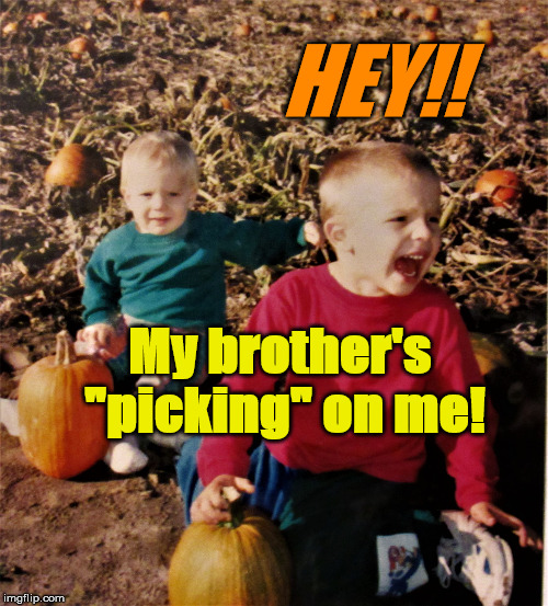pumpkin patch fail | HEY!! My brother's "picking" on me! | image tagged in pumpkin patch fail | made w/ Imgflip meme maker