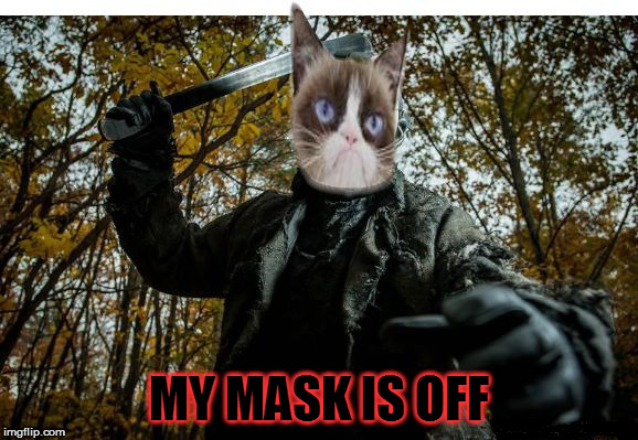 grumpy cat jason | MY MASK IS OFF | image tagged in grumpy cat jason | made w/ Imgflip meme maker
