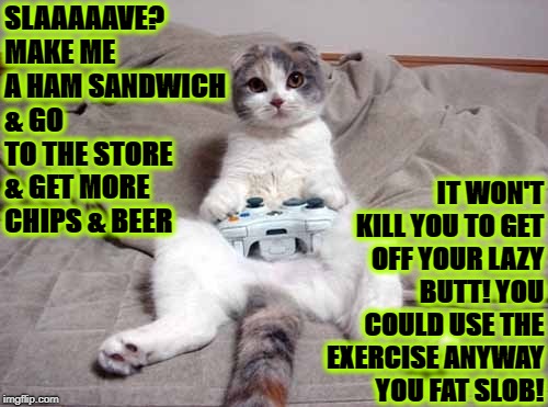 SLAAAAAVE? MAKE ME A HAM SANDWICH & GO TO THE STORE & GET MORE CHIPS & BEER; IT WON'T KILL YOU TO GET OFF YOUR LAZY BUTT! YOU COULD USE THE EXERCISE ANYWAY YOU FAT SLOB! | image tagged in lazy turd cat | made w/ Imgflip meme maker