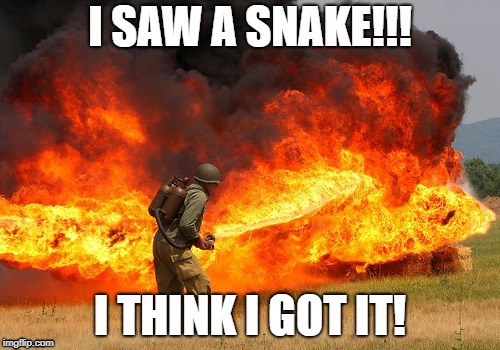 image tagged in snake fire | made w/ Imgflip meme maker