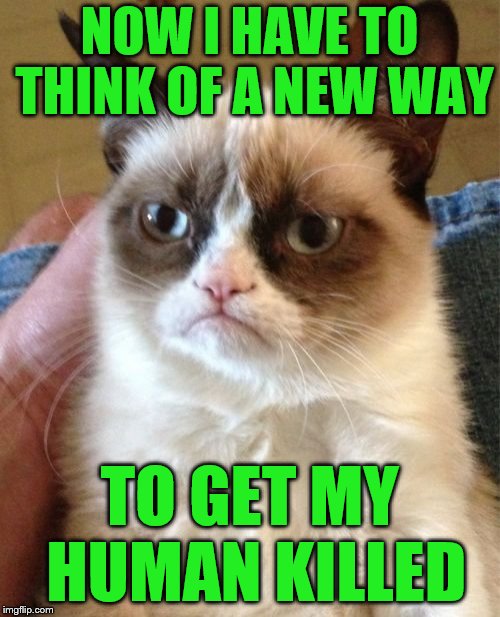 Grumpy Cat Meme | NOW I HAVE TO THINK OF A NEW WAY TO GET MY HUMAN KILLED | image tagged in memes,grumpy cat | made w/ Imgflip meme maker