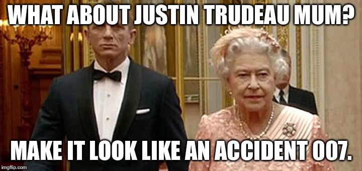 WHAT ABOUT JUSTIN TRUDEAU MUM? MAKE IT LOOK LIKE AN ACCIDENT 007. | image tagged in solution | made w/ Imgflip meme maker