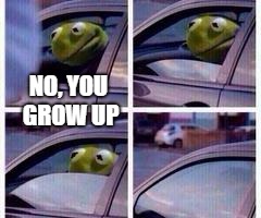 Kermit rolls up window | NO, YOU GROW UP | image tagged in kermit rolls up window | made w/ Imgflip meme maker