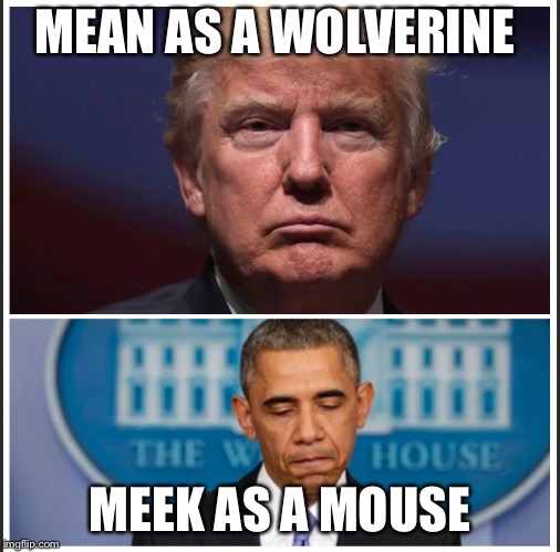 Mean as a Wolverine  | MEAN AS A WOLVERINE; MEEK AS A MOUSE | image tagged in donald trump,trump | made w/ Imgflip meme maker