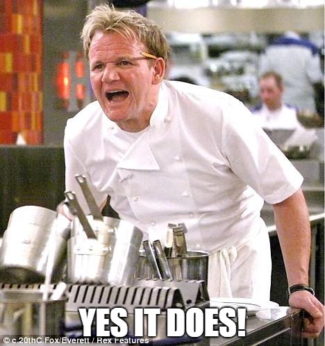Chef Gordon Ramsay Meme | YES IT DOES! | image tagged in memes,chef gordon ramsay | made w/ Imgflip meme maker