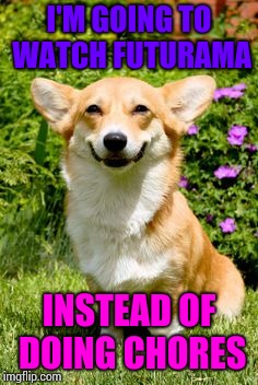 mischievous corgi  | I'M GOING TO WATCH FUTURAMA; INSTEAD OF DOING CHORES | image tagged in mischievous corgi | made w/ Imgflip meme maker