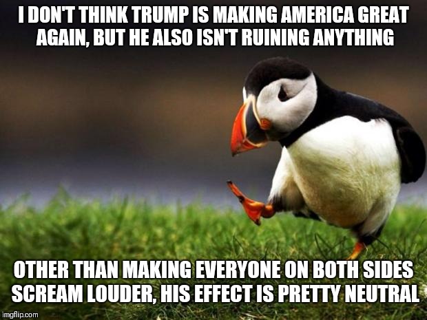 Unpopular Opinion Puffin | I DON'T THINK TRUMP IS MAKING AMERICA GREAT AGAIN, BUT HE ALSO ISN'T RUINING ANYTHING; OTHER THAN MAKING EVERYONE ON BOTH SIDES SCREAM LOUDER, HIS EFFECT IS PRETTY NEUTRAL | image tagged in memes,unpopular opinion puffin | made w/ Imgflip meme maker