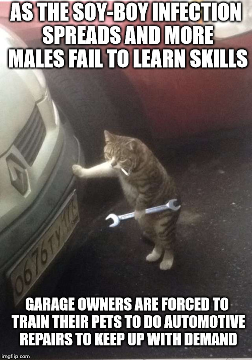 AS THE SOY-BOY INFECTION SPREADS AND MORE MALES FAIL TO LEARN SKILLS; GARAGE OWNERS ARE FORCED TO TRAIN THEIR PETS TO DO AUTOMOTIVE REPAIRS TO KEEP UP WITH DEMAND | made w/ Imgflip meme maker