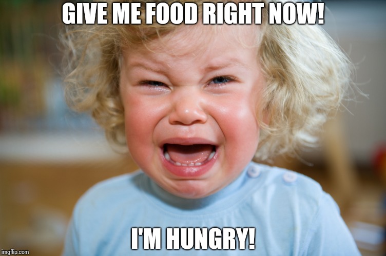 people-are-dying-of-starvation-stophungernow-imgflip