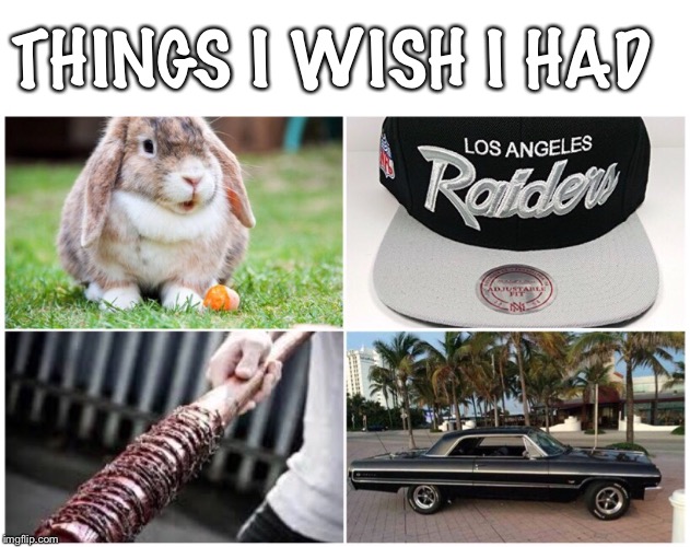 But most of all, I wish I was a Baller...  ☹️ | THINGS I WISH I HAD | image tagged in baller,skee-lo,literal meme | made w/ Imgflip meme maker