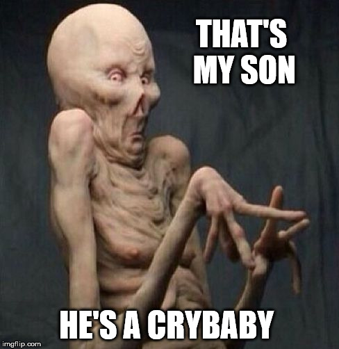 don't touch me | THAT'S MY SON HE'S A CRYBABY | image tagged in don't touch me | made w/ Imgflip meme maker