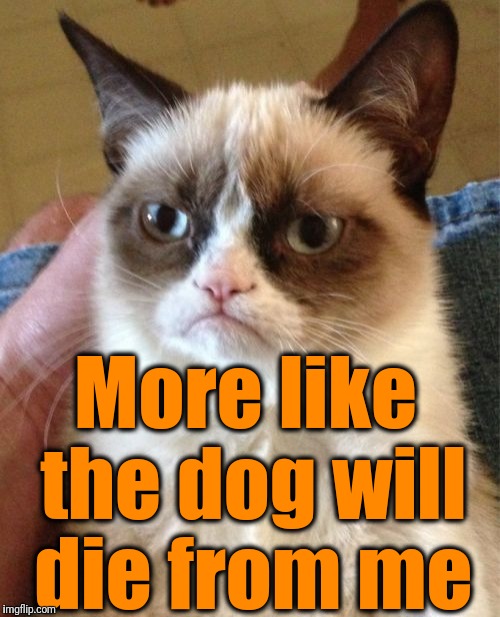 Grumpy Cat Meme | More like the dog will die from me | image tagged in memes,grumpy cat | made w/ Imgflip meme maker