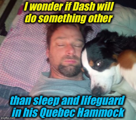 I wonder if Dash will do something other than sleep and lifeguard in his Quebec Hammock | made w/ Imgflip meme maker