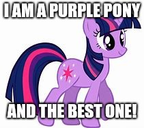 I AM A PURPLE PONY AND THE BEST ONE! | made w/ Imgflip meme maker