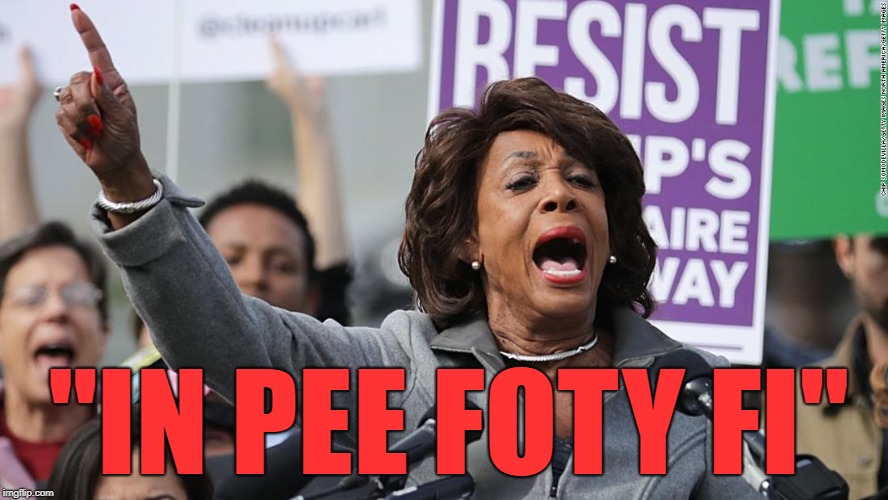Maxine Waters

 | "IN PEE FOTY FI" | image tagged in maxine waters | made w/ Imgflip meme maker