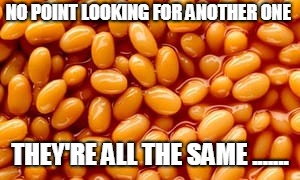 NO POINT LOOKING FOR ANOTHER ONE; THEY'RE ALL THE SAME ....... | image tagged in beans | made w/ Imgflip meme maker