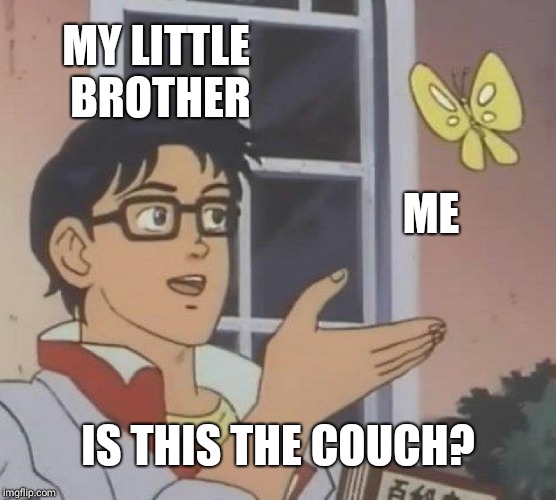 He straight up sits on me when I'm trying to watch youtube. | MY LITTLE BROTHER; ME; IS THIS THE COUCH? | image tagged in memes,is this a pigeon | made w/ Imgflip meme maker