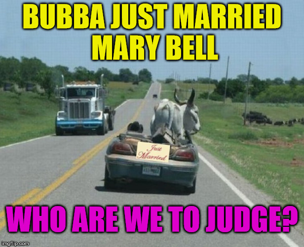 I guess Love is Love | BUBBA JUST MARRIED MARY BELL; WHO ARE WE TO JUDGE? | image tagged in memes,relationships,marriage,funny,redneck | made w/ Imgflip meme maker