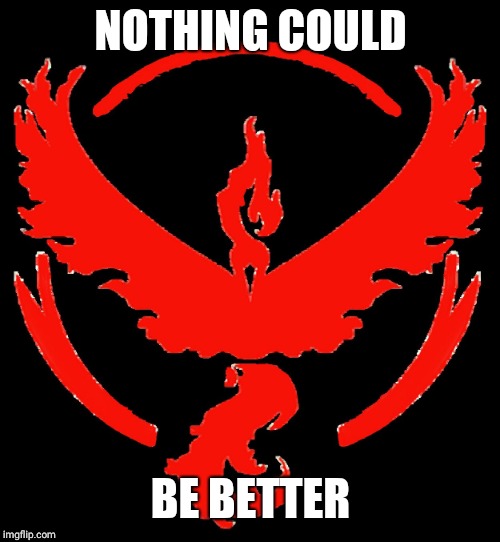 Team Valor | NOTHING COULD BE BETTER | image tagged in team valor | made w/ Imgflip meme maker