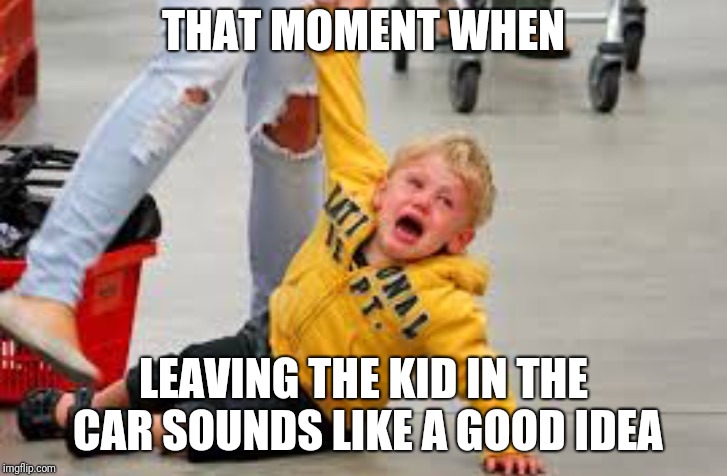 Tantrum store |  THAT MOMENT WHEN; LEAVING THE KID IN THE CAR SOUNDS LIKE A GOOD IDEA | image tagged in tantrum store | made w/ Imgflip meme maker