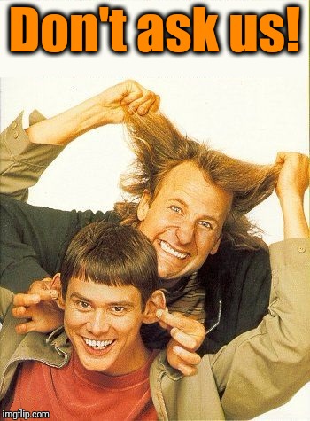 DUMB and dumber | Don't ask us! | image tagged in dumb and dumber | made w/ Imgflip meme maker
