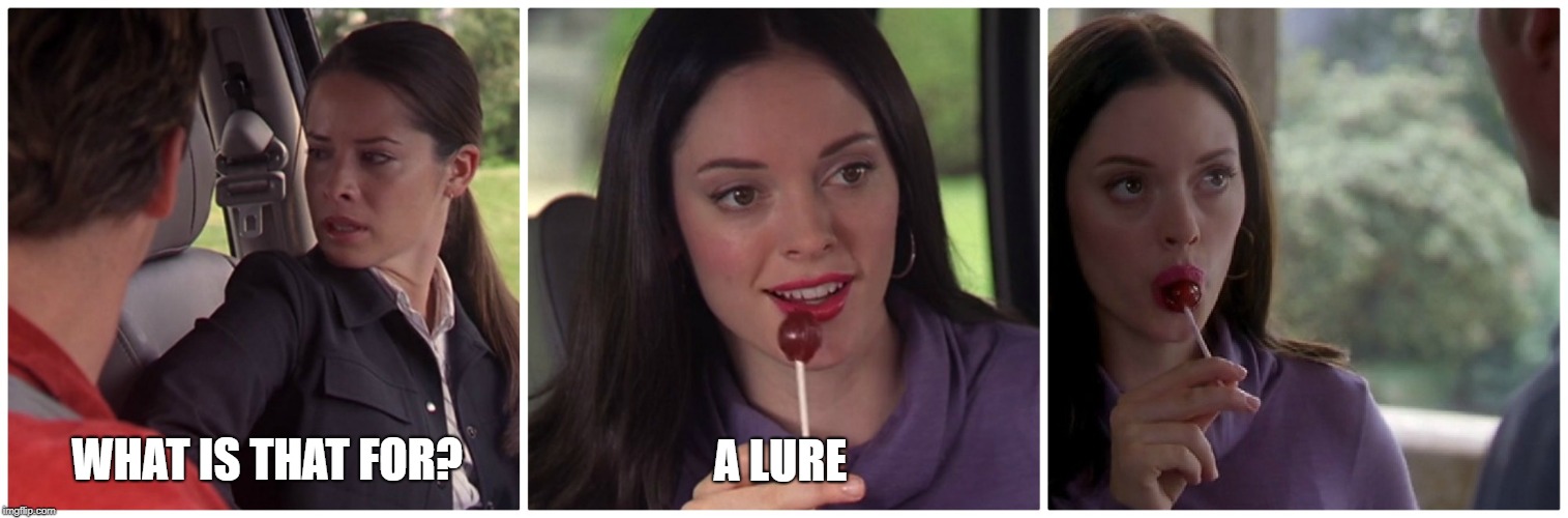 A Charming Lure | A LURE; WHAT IS THAT FOR? | image tagged in charmed,paige,paige mathews,piper,piper halliwell,lure | made w/ Imgflip meme maker