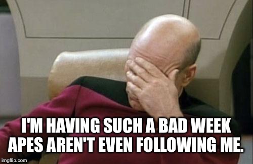Captain Picard Facepalm Meme | I'M HAVING SUCH A BAD WEEK APES AREN'T EVEN FOLLOWING ME. | image tagged in memes,captain picard facepalm | made w/ Imgflip meme maker