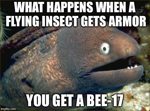 Bad Joke Eel Meme | WHAT HAPPENS WHEN A FLYING INSECT GETS ARMOR; YOU GET A BEE-17 | image tagged in memes,bad joke eel | made w/ Imgflip meme maker