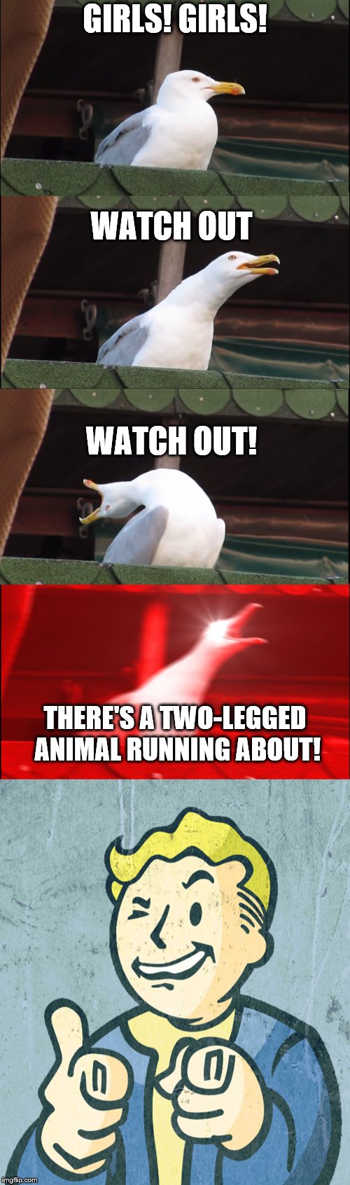 ATTN Girls | GIRLS! GIRLS! WATCH OUT; WATCH OUT! THERE'S A TWO-LEGGED ANIMAL RUNNING ABOUT! | image tagged in memes,inhaling seagull,fallout,vault boy | made w/ Imgflip meme maker